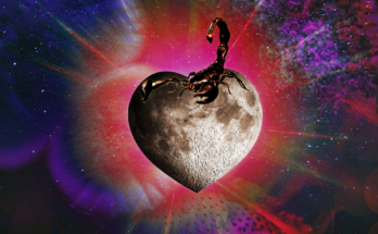 Your Horoscope for the New Moon in Scorpio by Zodiac Sign